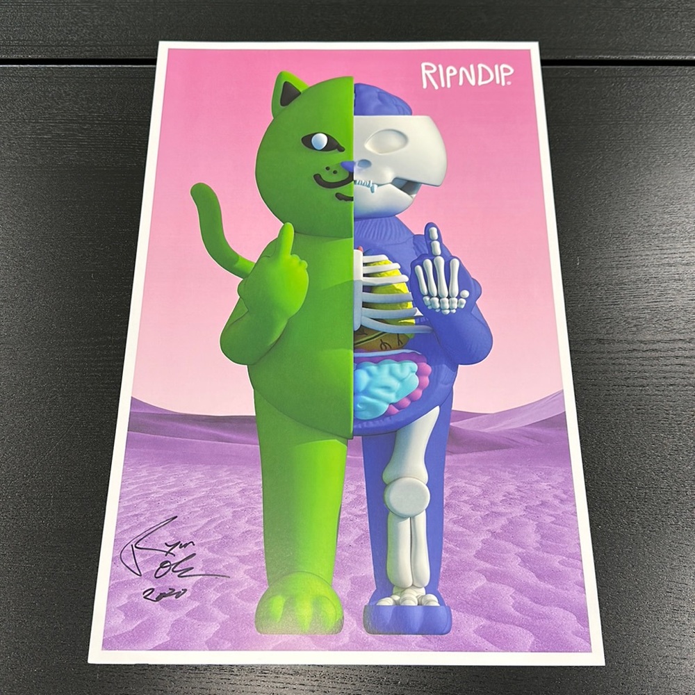 Rip N Dip Signed Anatomy Poster